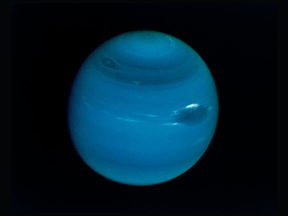 Neptun